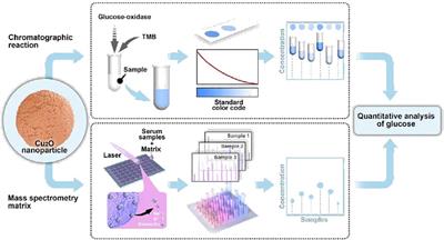 A Copper-Based Biosensor for Dual-Mode Glucose Detection